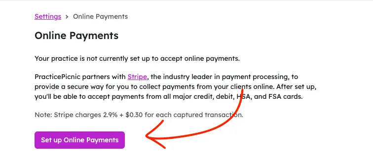 practicepicnic online payments step 1 screenshot