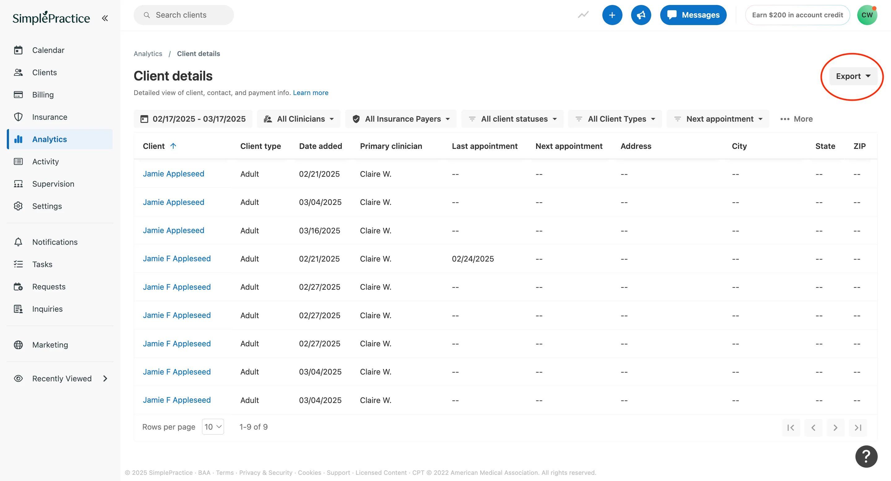 SimplePractice client details export