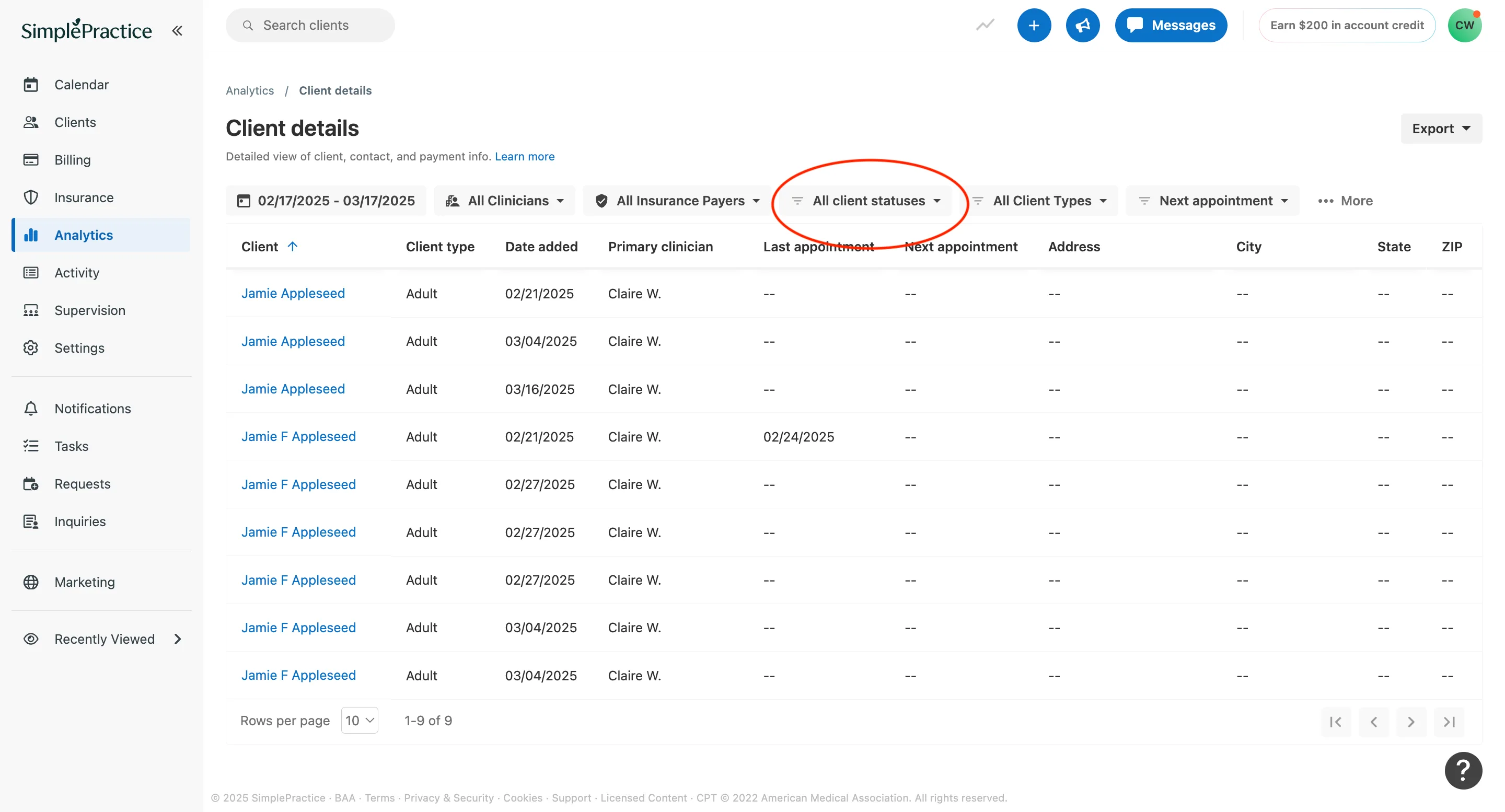 SimplePractice client details, all client statuses